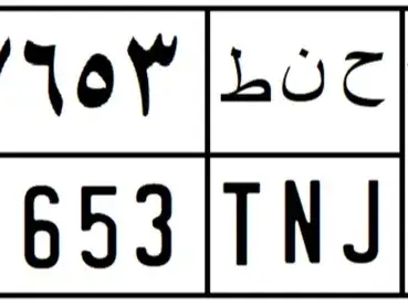 Saudi-Style Mini Plate