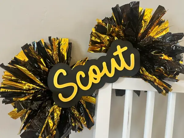 Custom Name Cheer Stick