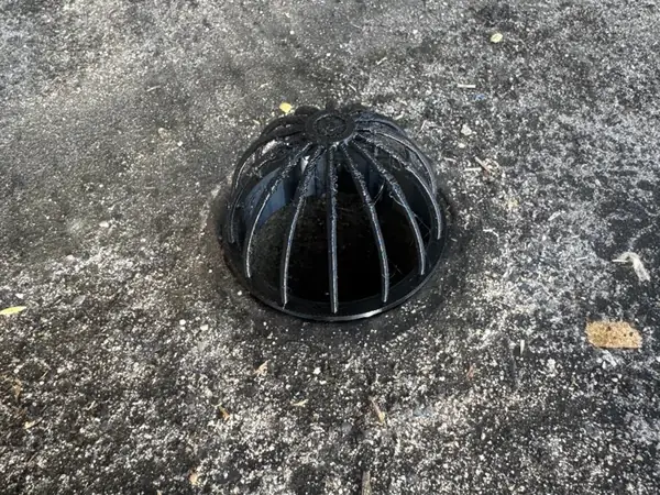 Custom Balloon Leaf Catcher