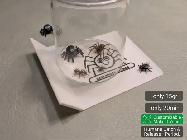 Easy Spider Catcher – Humane Bug Trap