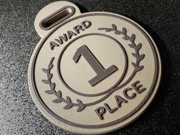 Custom Award Medal – Rank 1–99