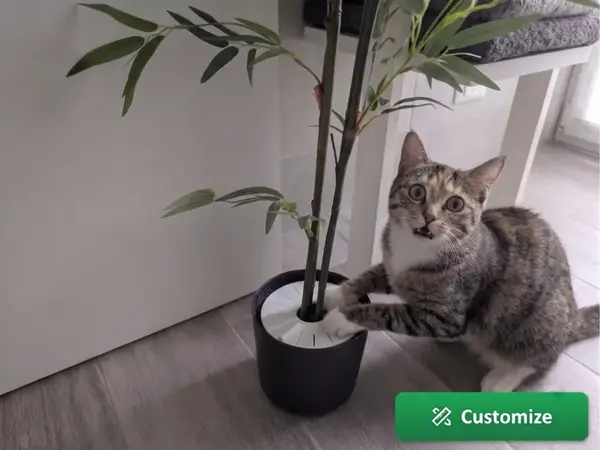Custom Plant Soil Guard – Pest & Cat Shield