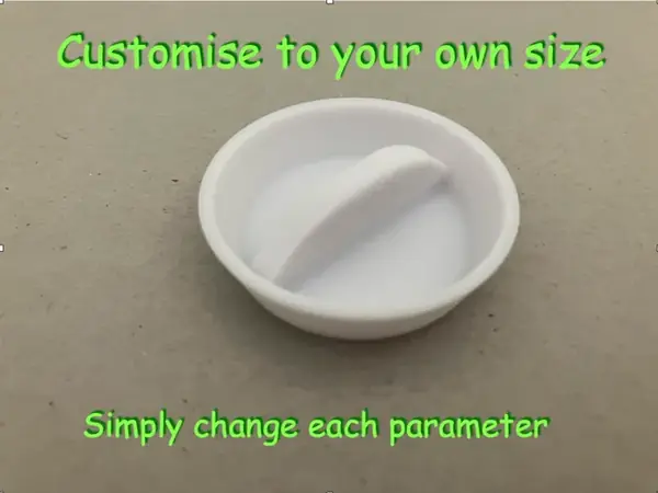 Sink Plug