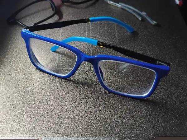Glasses Front Frame – Repair Part