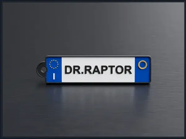 Custom European License Plate