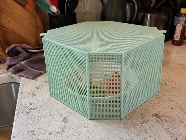 Custom One-Piece Mesh Food Cover