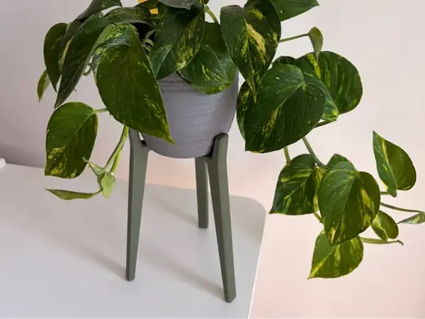 Custom Tripod Plant Stand