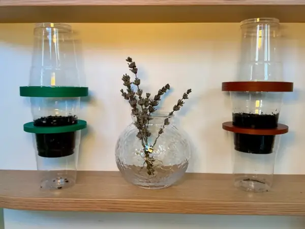 Cup Greenhouse – Turn Cups into a Propagator