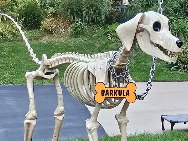 Custom Dog Tag for Home Depot Halloween Dog