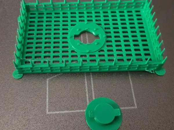 Queen Bee Introduction Cage