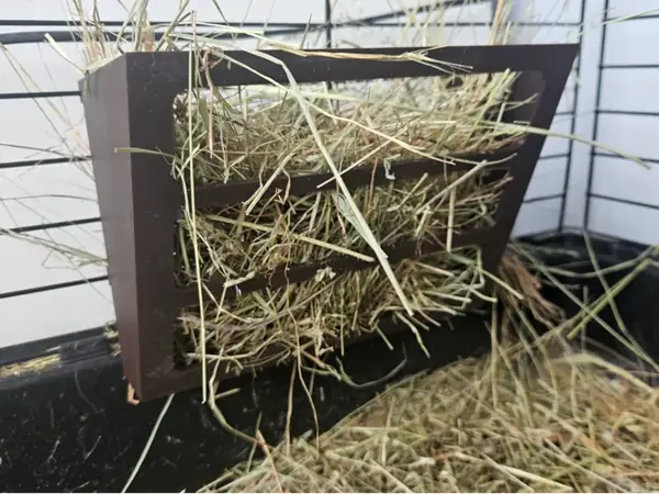 Custom Rabbit Hay Feeder