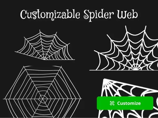 Custom Halloween Spider Web